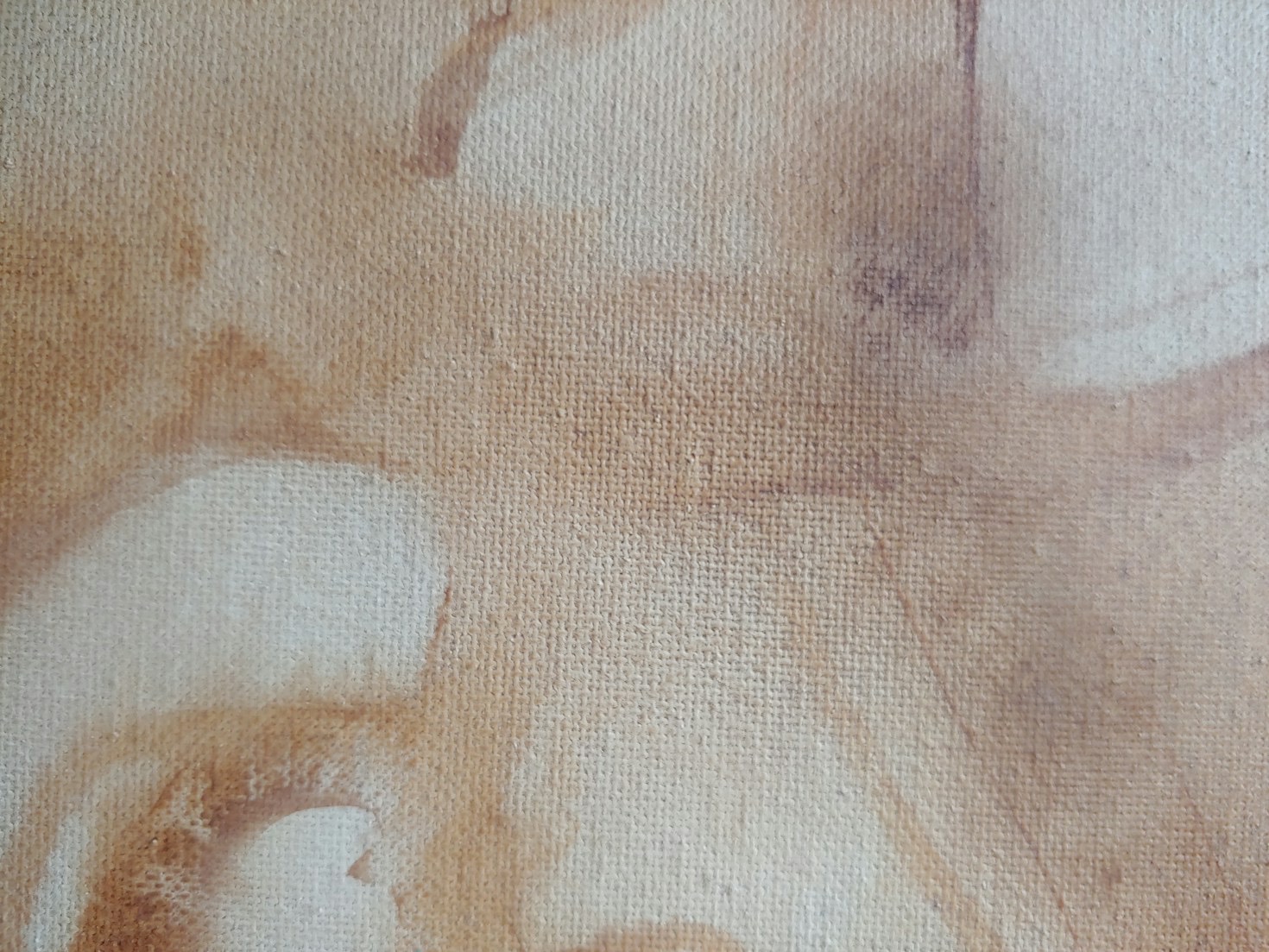 Die Inspirationsquellen hinter Marcel Coquets Kunst